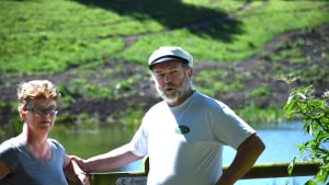 Lisbeth laver lige 150 benløse fugle til busselskabet